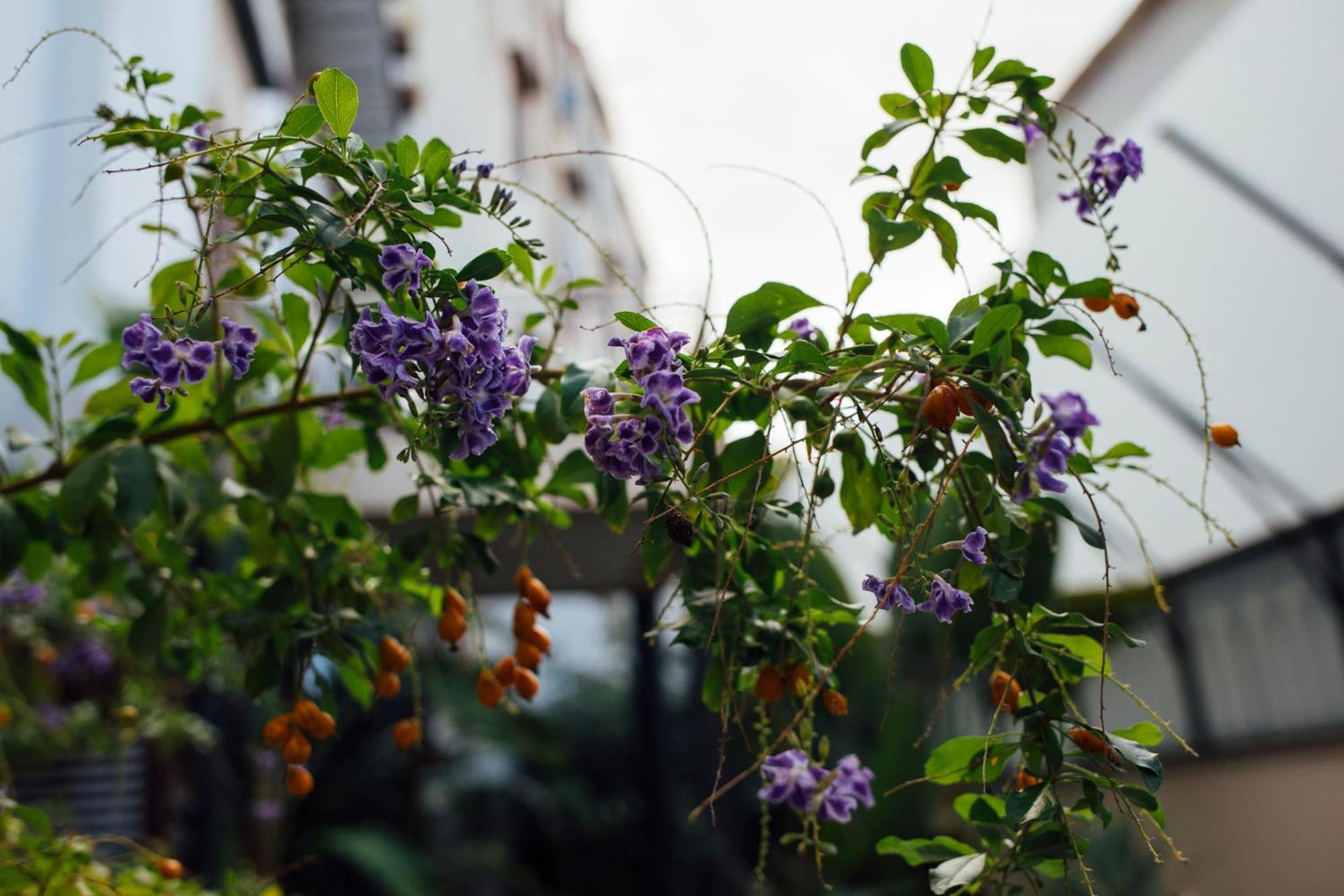 Atmosfere Puniche B&B Palermo Pokój zdjęcie